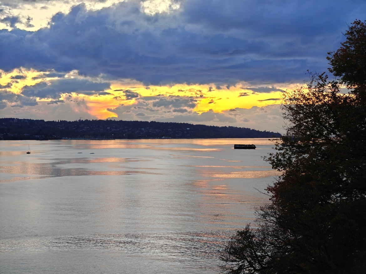 OnePlus Open Review: This Folding Phone Puts All Others On Notice