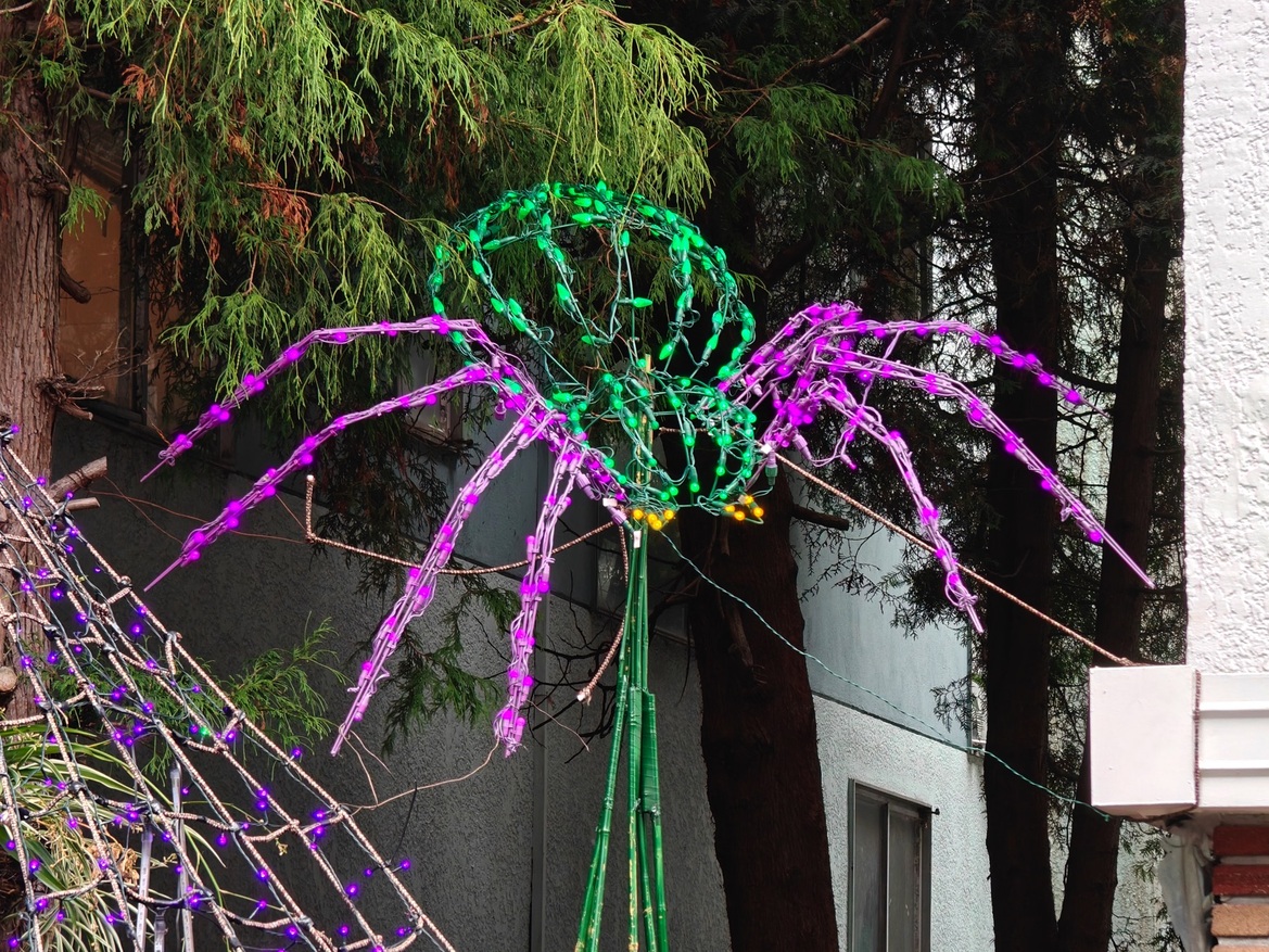 OnePlus Open Review: This Folding Phone Puts All Others On Notice