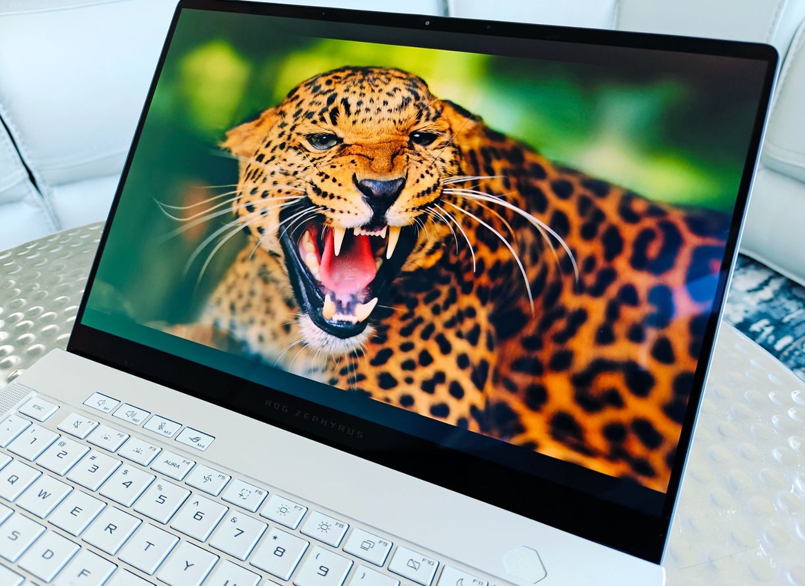 ASUS ROG Zephyrus G14 (2024) Gaming Laptop Review: Pretty And Powerful