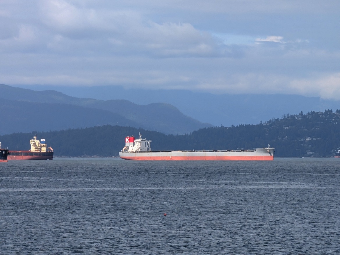 Google Pixel 9 Pro Fold Review: This Folding Phone Is A Winner