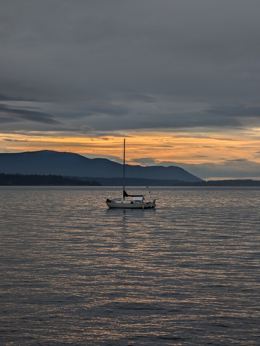 Google Pixel 9 Pro Fold Review: This Folding Phone Is A Winner