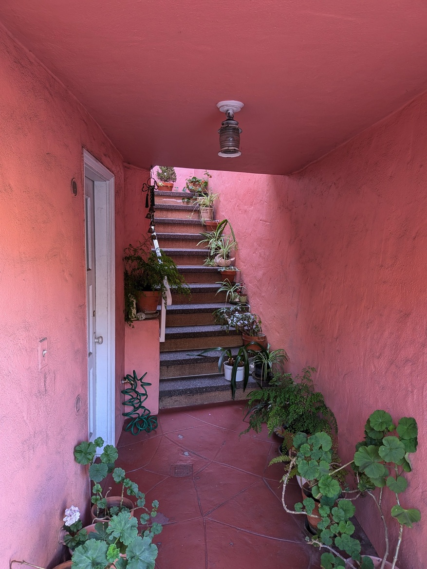 Google Pixel 9 Pro Fold Review: This Folding Phone Is A Winner