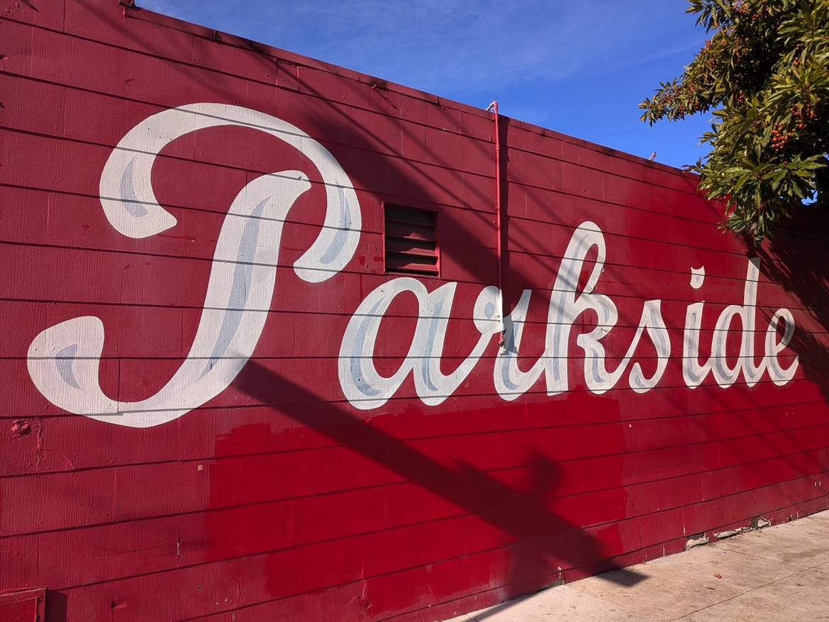 Google Pixel 9 Pro Fold Review: This Folding Phone Is A Winner