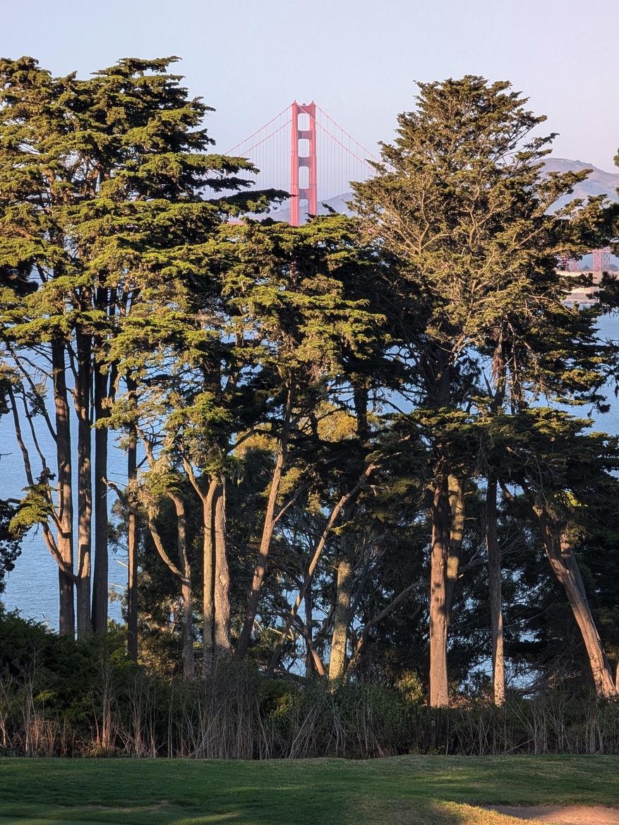 Google Pixel 9 Pro Fold Review: This Folding Phone Is A Winner