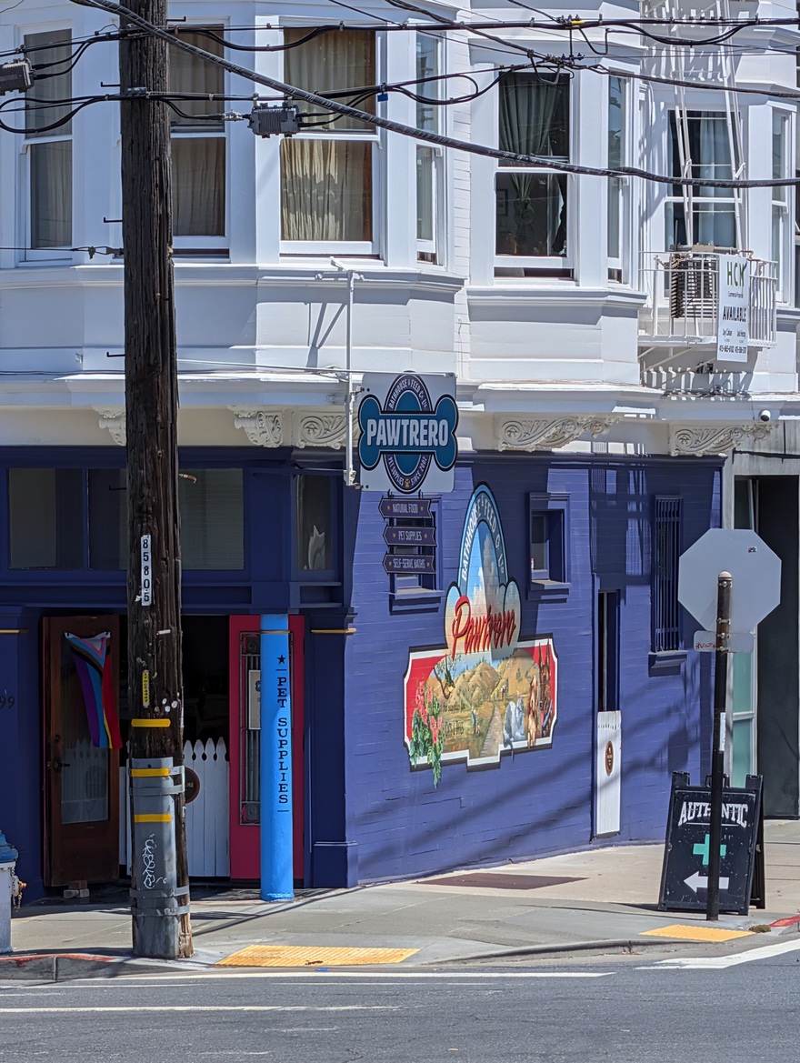 Google Pixel 10 Series Review: These Flagship Phones Impress