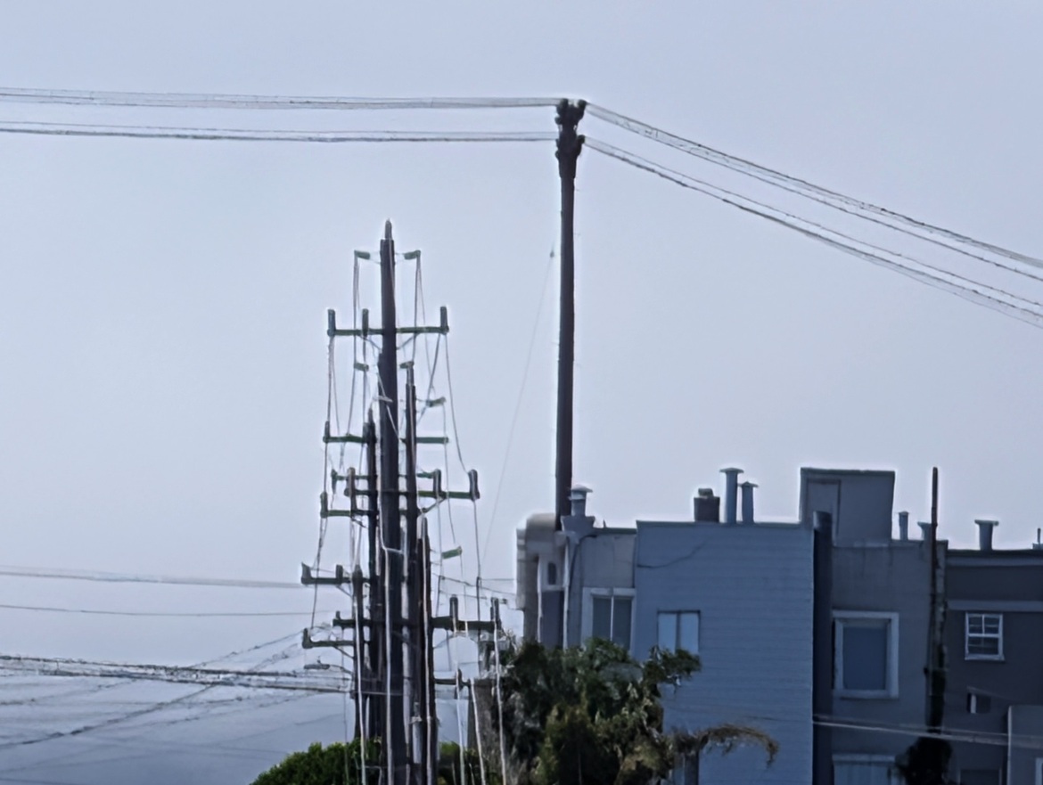 Google Pixel 10 Series Review: These Flagship Phones Impress