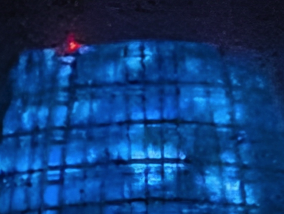 Google Pixel 10 Series Review: These Flagship Phones Impress