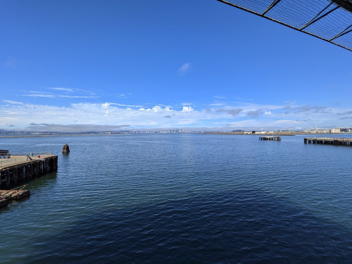 Google Pixel 10 Series Review: These Flagship Phones Impress