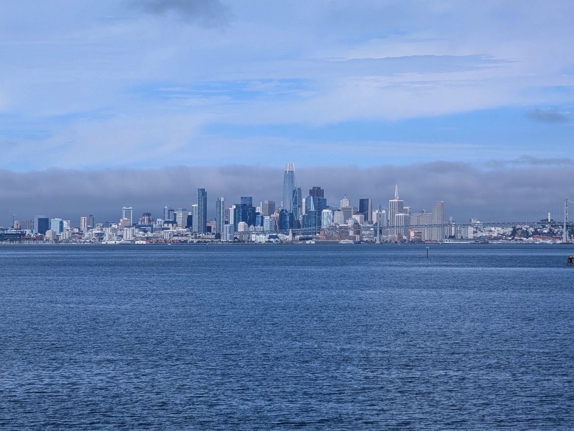 Google Pixel 10 Series Review: These Flagship Phones Impress