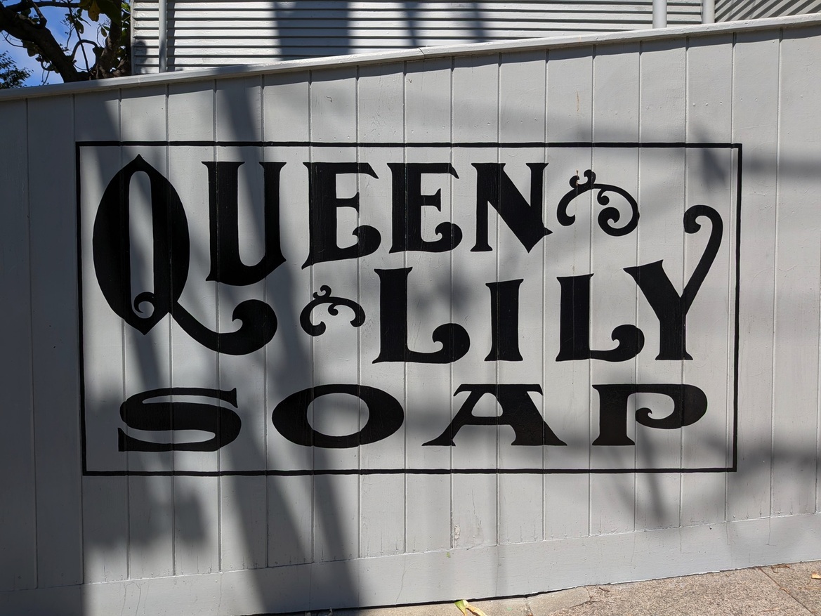 Google Pixel 10 Series Review: These Flagship Phones Impress