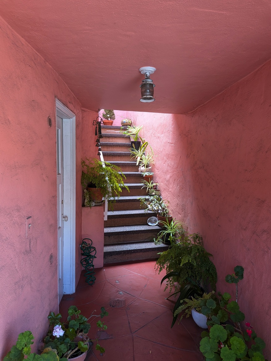 Google Pixel 10 Series Review: These Flagship Phones Impress