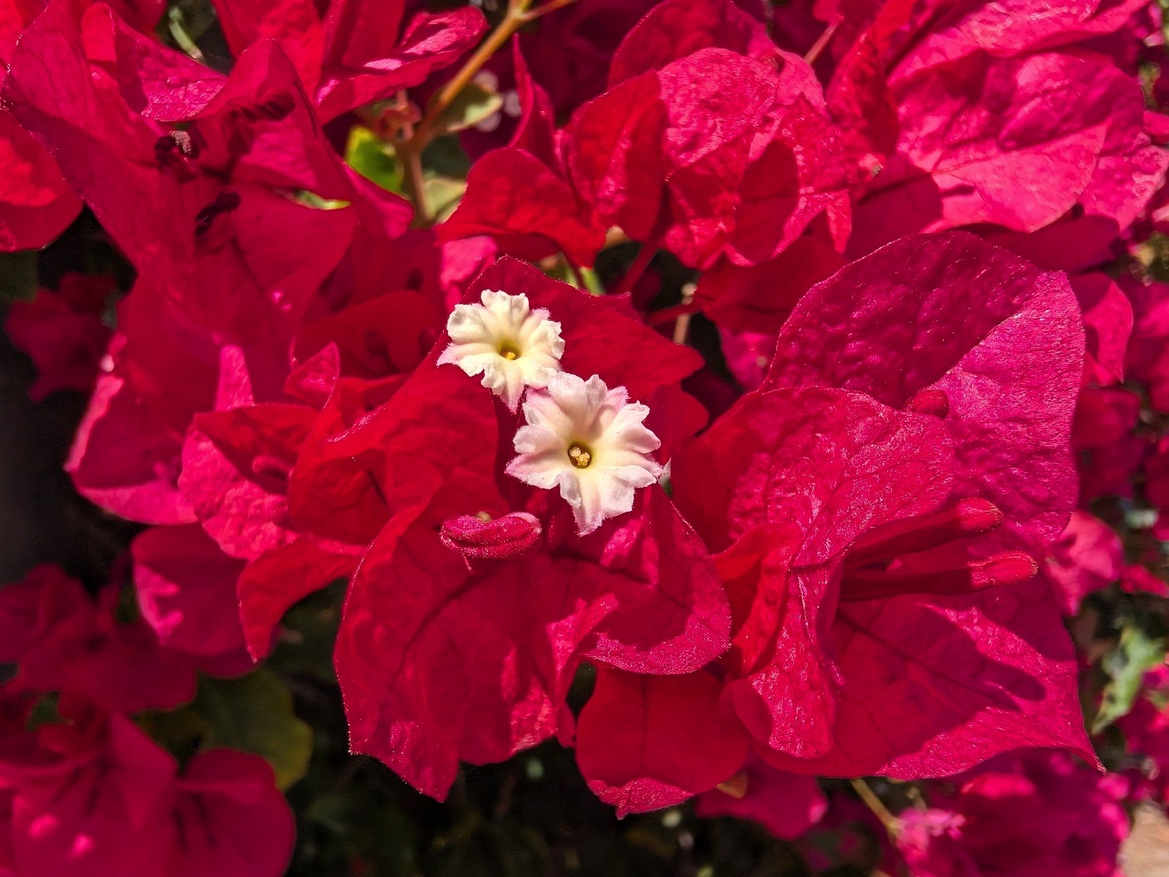 Google Pixel 10 Pro Fold Review: Familiar Feel, Smarter Execution