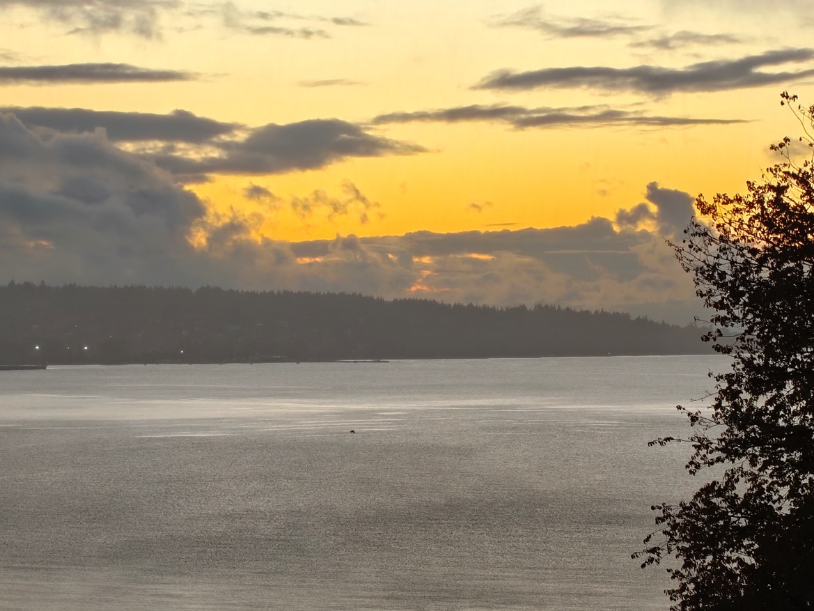 OnePlus 15 Review: Has The Flagship Killer Finally Settled?