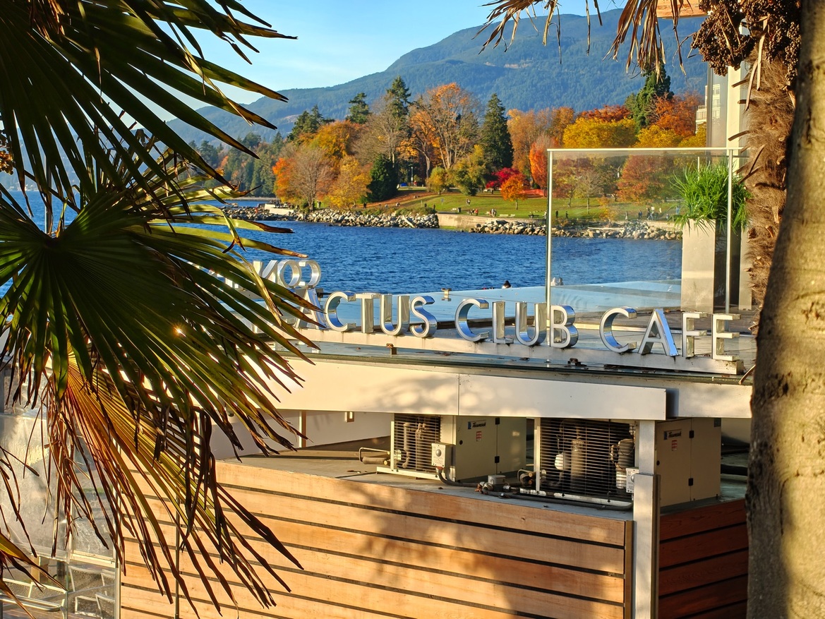 OnePlus 15 Review: Has The Flagship Killer Finally Settled?