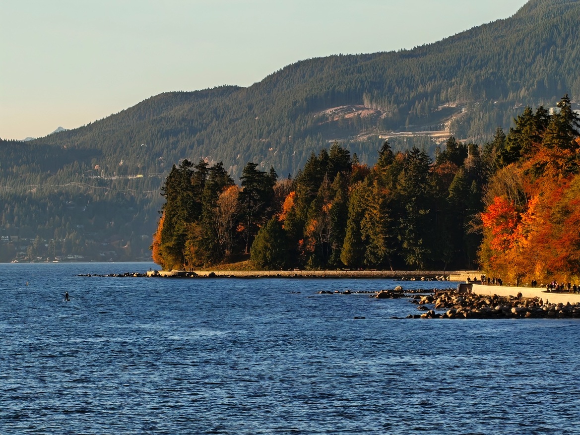 OnePlus 15 Review: Has The Flagship Killer Finally Settled?