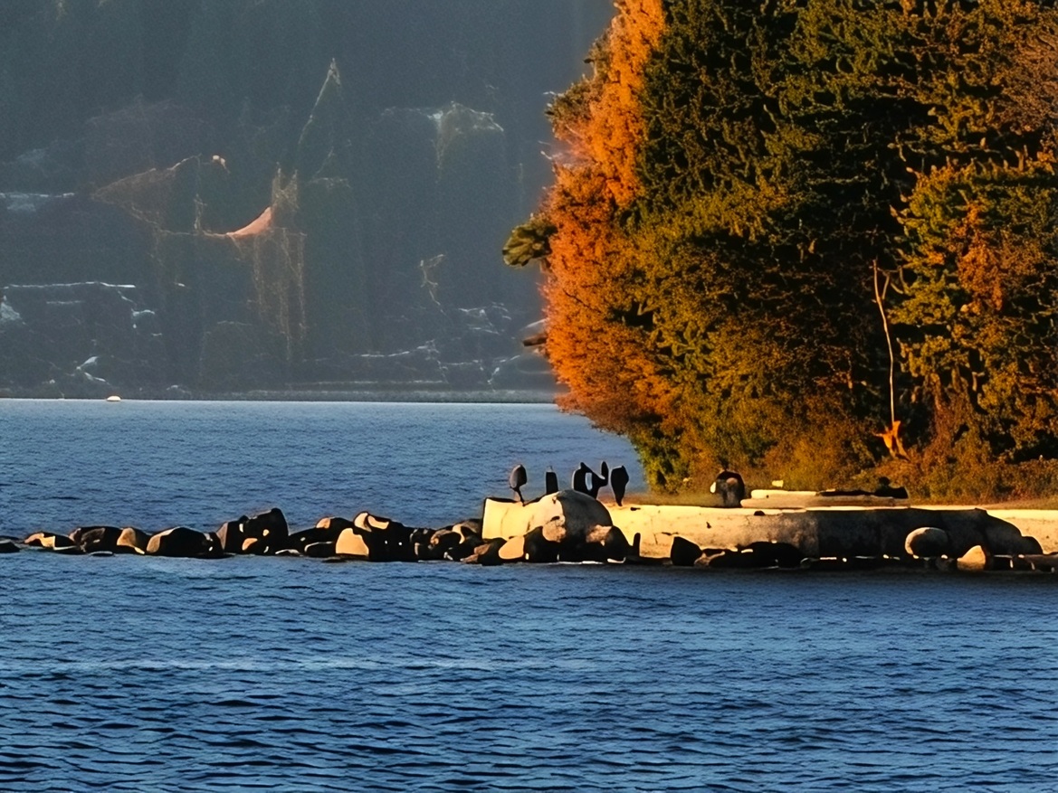 OnePlus 15 Review: Has The Flagship Killer Finally Settled?