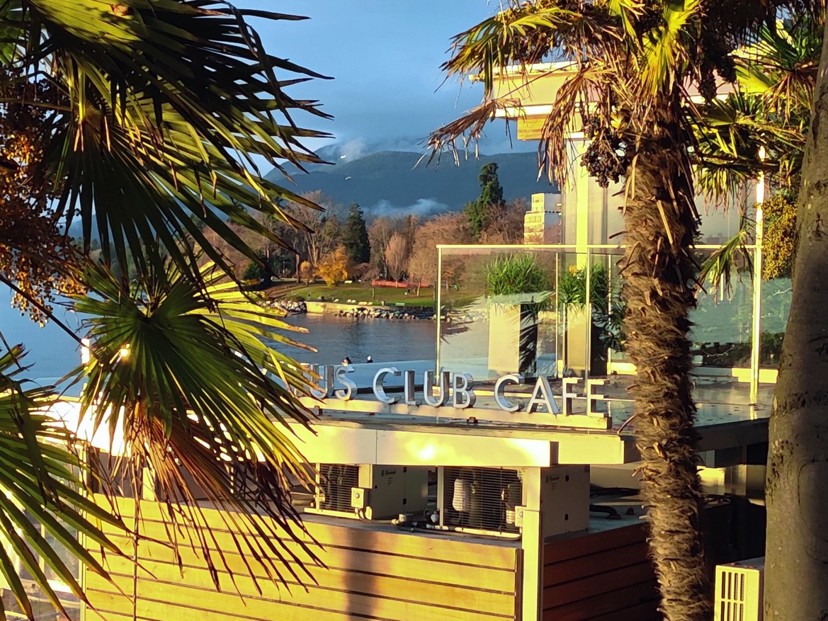 RedMagic 11 Pro Review: Liquid-Cooled Android Phone For Serious Gamers