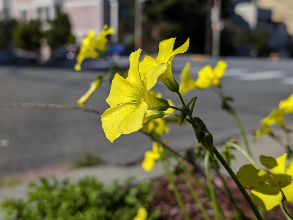 Google Pixel 10a Review: Modest Upgrades, Still A Great Value Phone