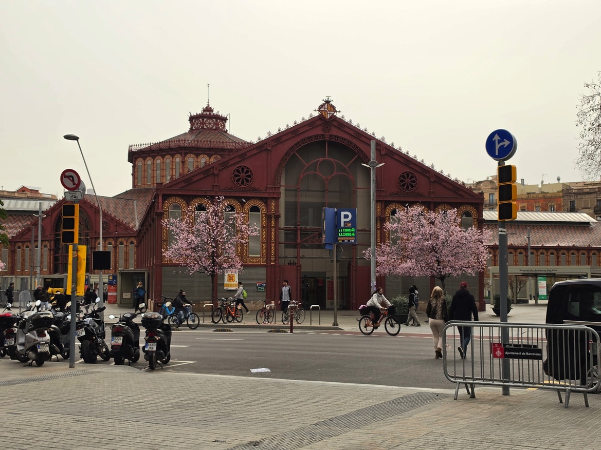 Samsung Galaxy S26 Ultra Review: Powerful, Familiar Flagship