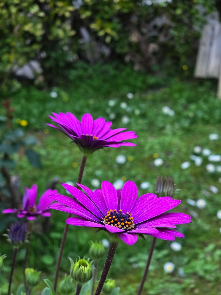 Samsung Galaxy S26 Ultra Review: Powerful, Familiar Flagship