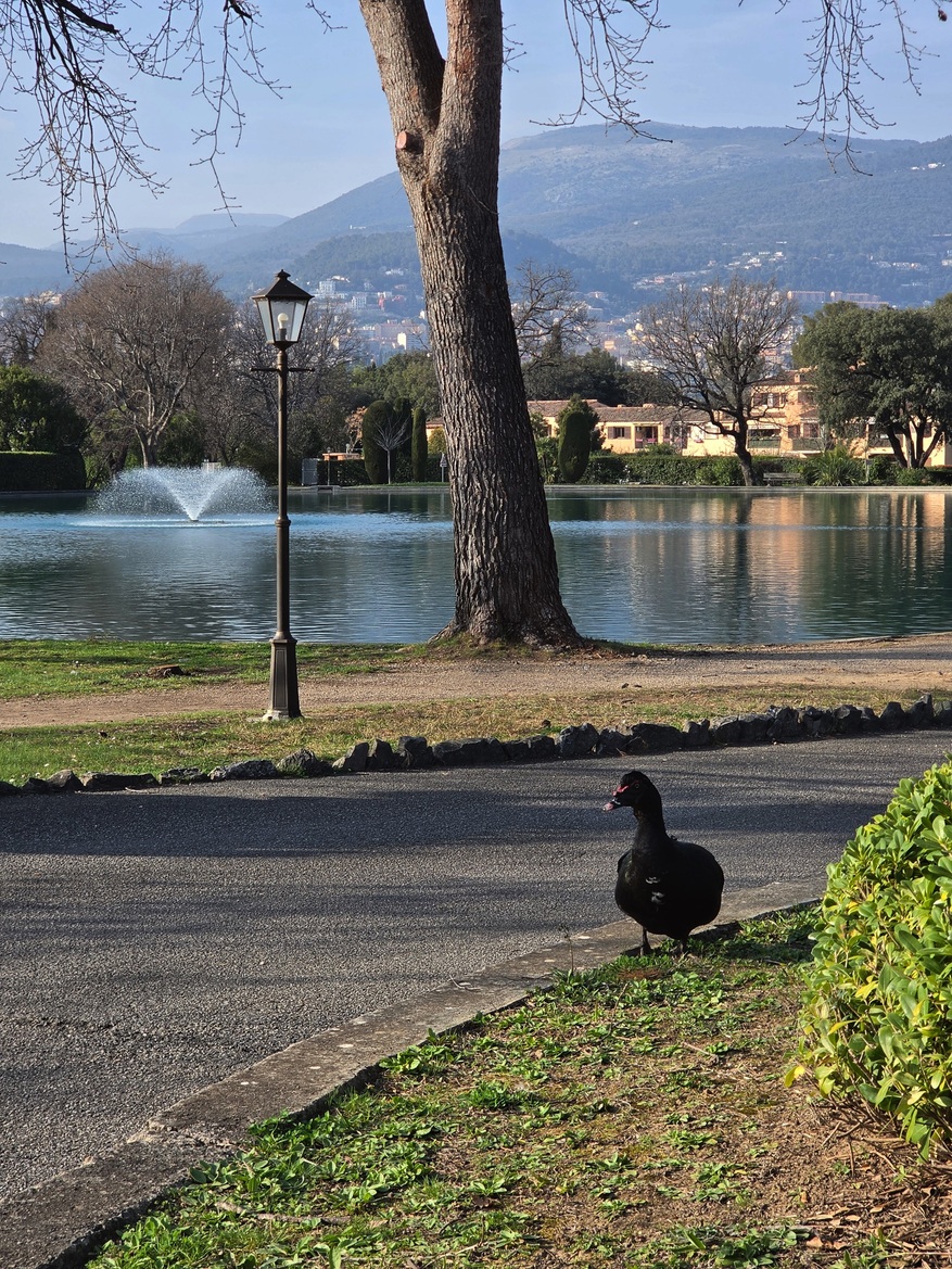 Samsung Galaxy S26 Ultra Review: Powerful, Familiar Flagship