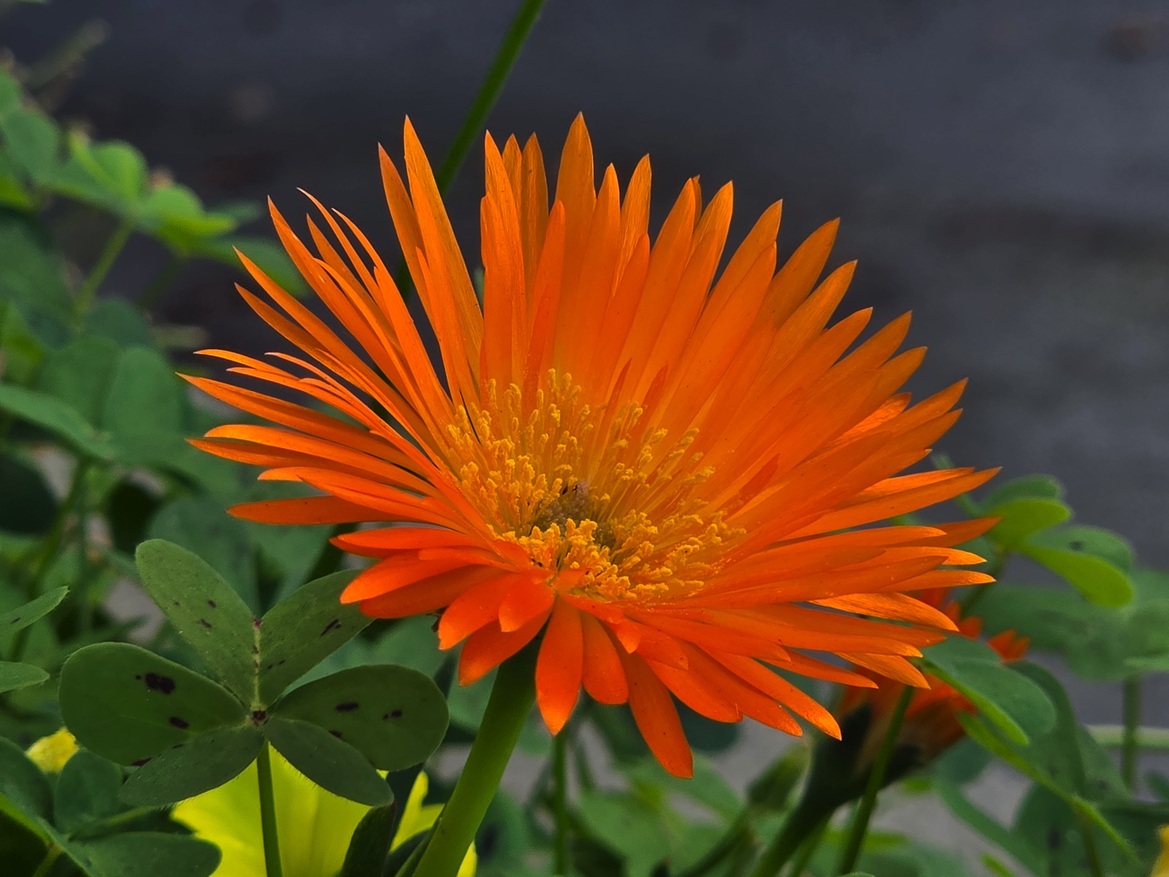 Samsung Galaxy S26 Ultra Review: Powerful, Familiar Flagship