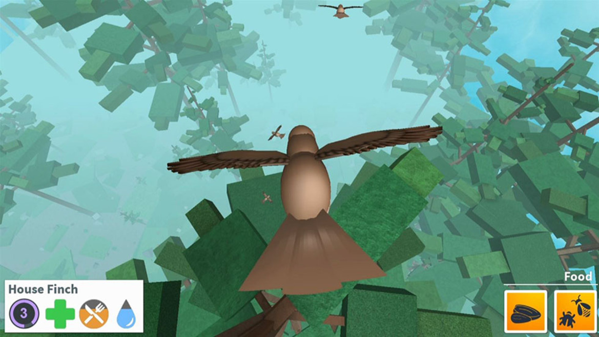 ROBLOX Gamers Ripped Off With Discord Exploit Used To Steal ROBUX