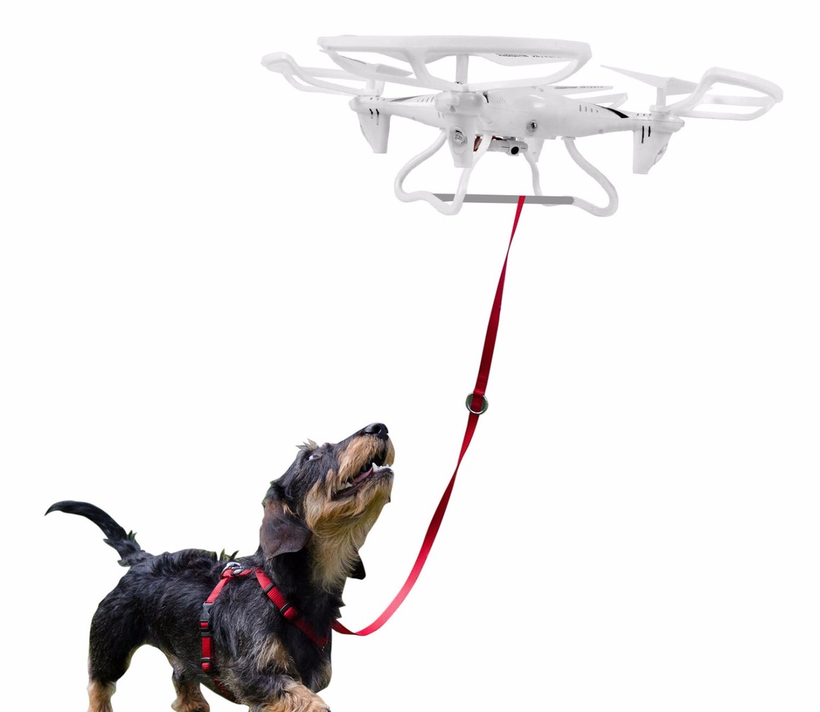 Proflight Walkies Dog Drone Wants To Be Your Pup's Best Friend