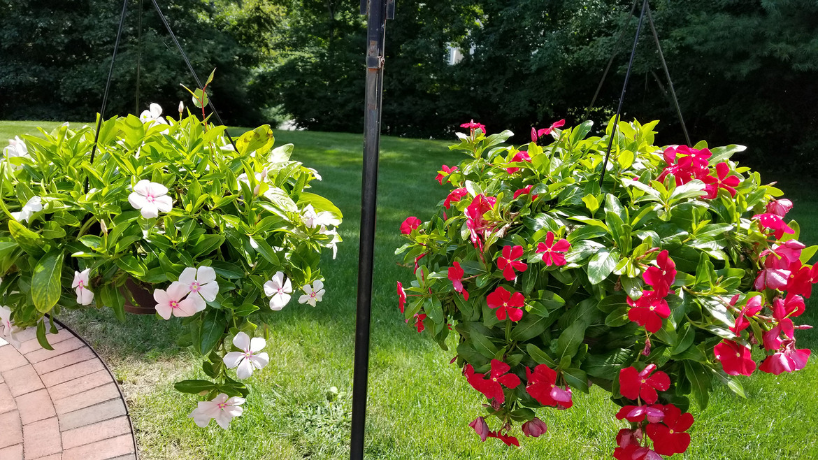 LG V30 Camera Performance Versus Samsung Galaxy S8 Shows LG's Low Light Prowess