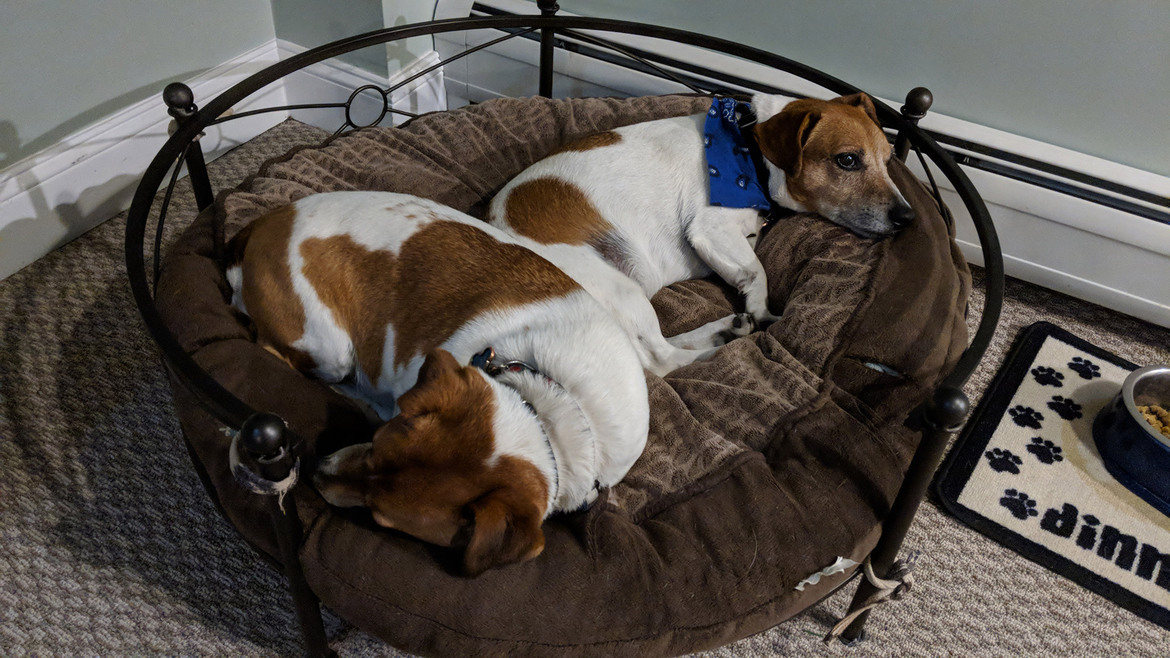 Galaxy S9+ Versus Pixel 2 XL Camera Shoot-Out, Crowning A New Image Quality King?
