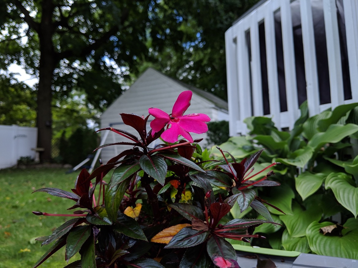 Google Pixel 3 Camera Shots Preview: The Most Impressive Pixel Camera Yet