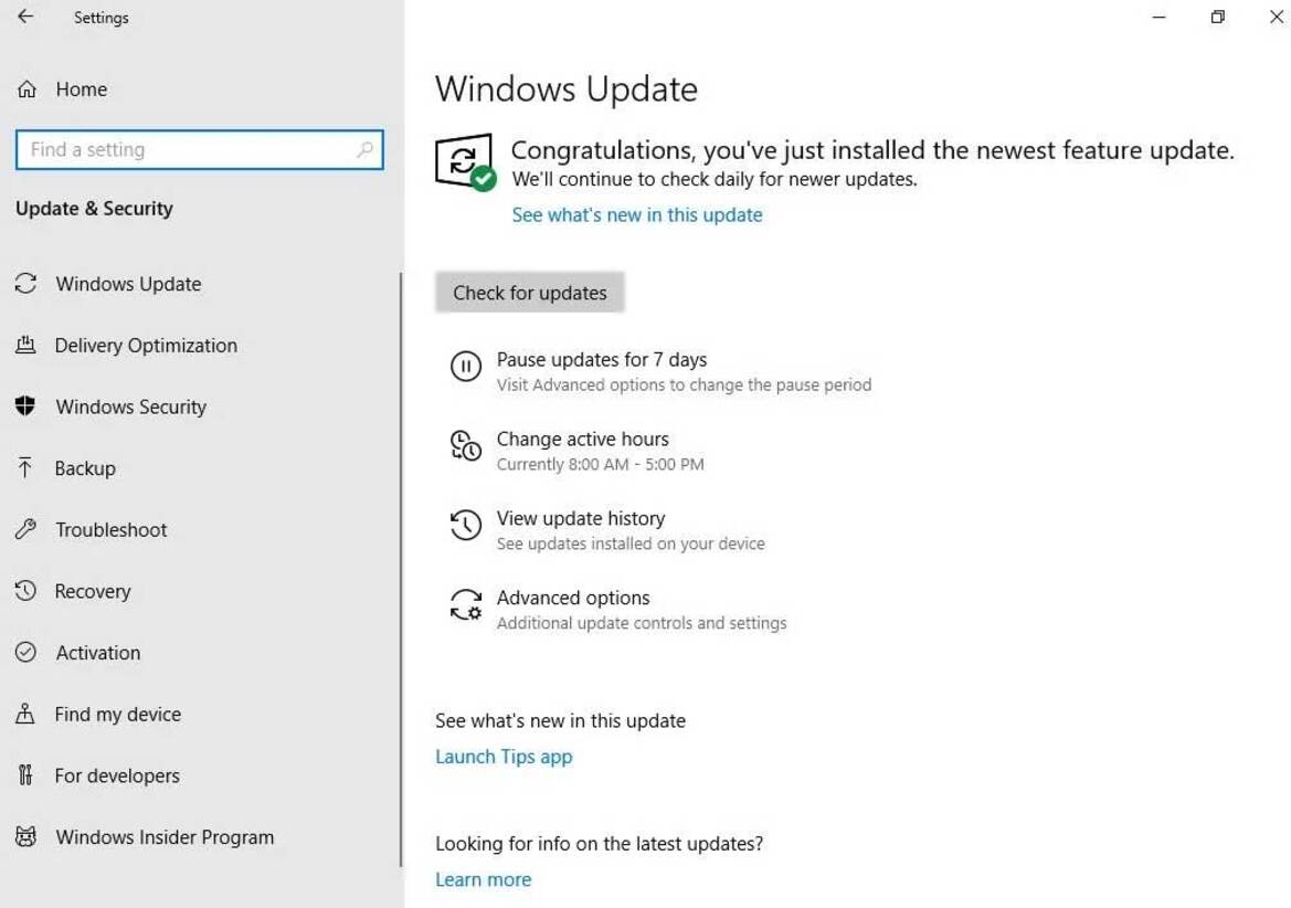 Windows 10 Home May Finally Allow Users To Pause Updates