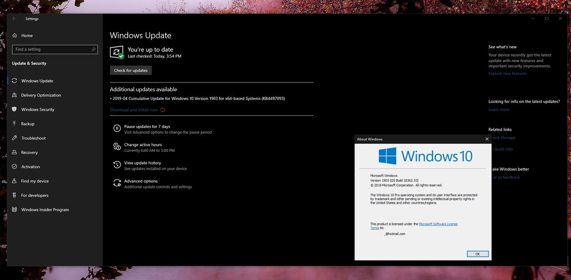 Windows 10 May 2019 Update Gains 'Download and Install Now' Option For Updates