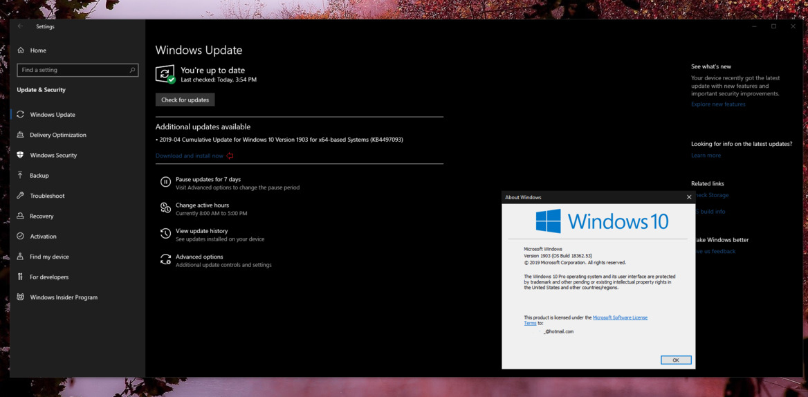 Windows 10 May 2019 Update Gains 'Download and Install Now' Option For Updates
