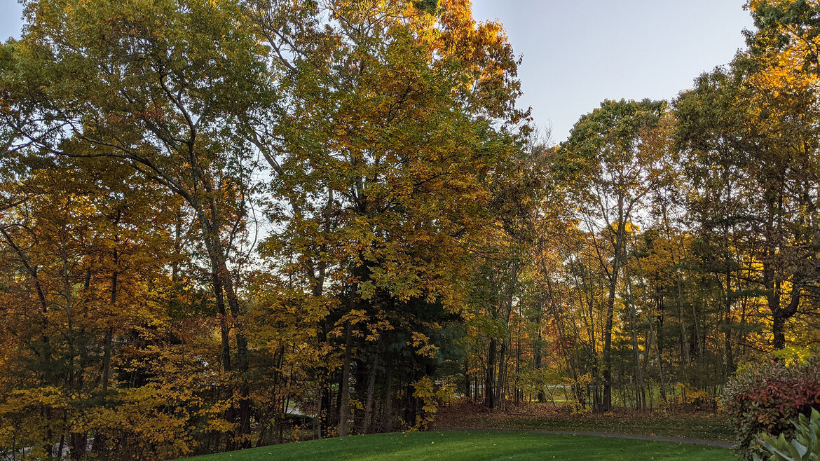 Pixel 4 XL Vs Galaxy Note 10 Pics: HDR, Portrait, Night Sight Shoot-Out