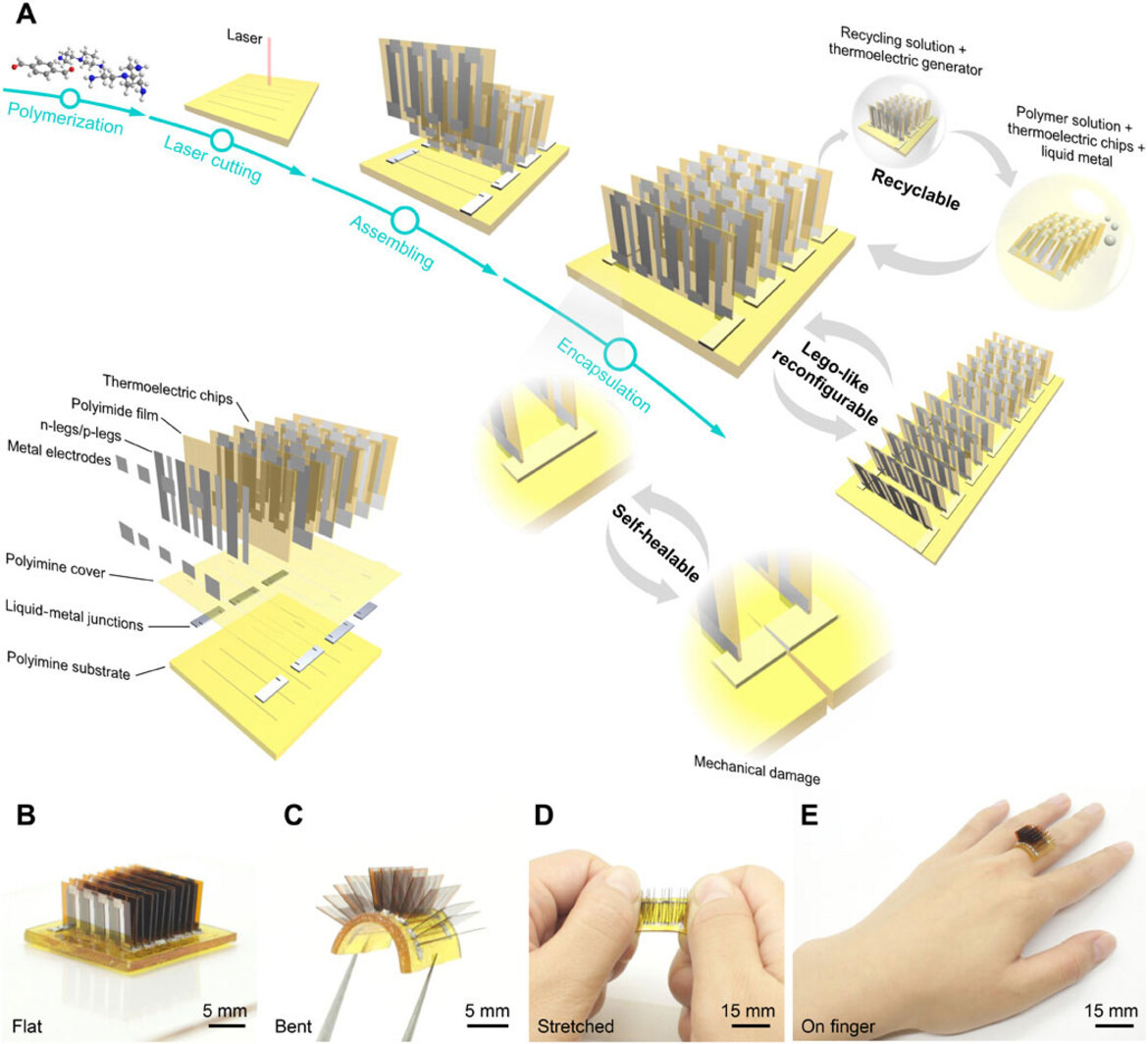 New Thermoelectric Smart Wearables Tap Your Body's Heat As A Continuous Battery
