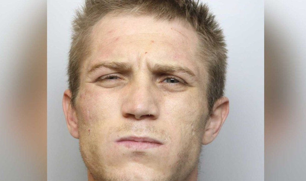Busted Car Thieves Use A Fake Game Boy In Real Life $250K Grand Theft Auto Ring
