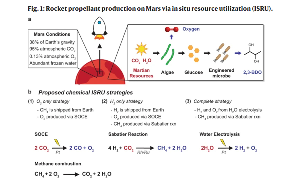 NASA Could Blast Bacteria To Mars And Make Rocket Fuel With It For Deep Space Travel