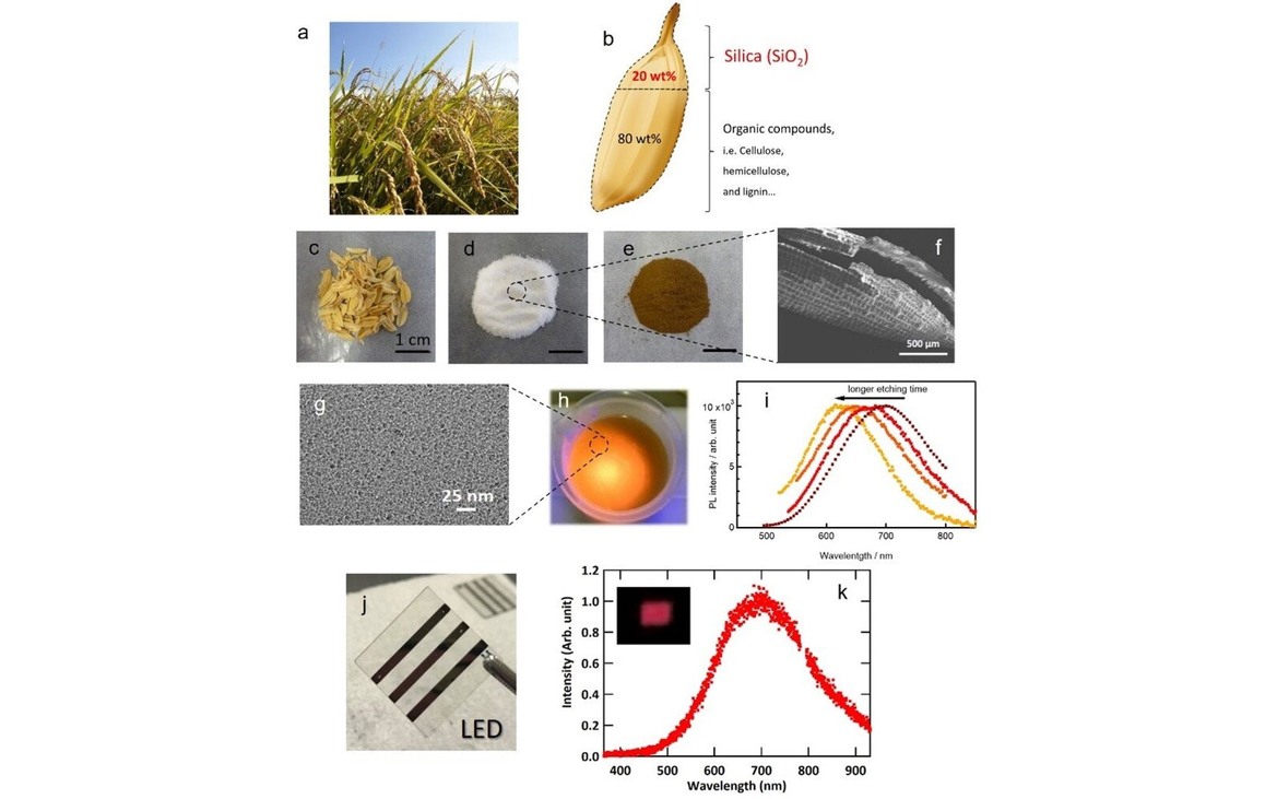 Researchers Develop Method To Make Quantum Dot LEDs From Recycled Rice Husks