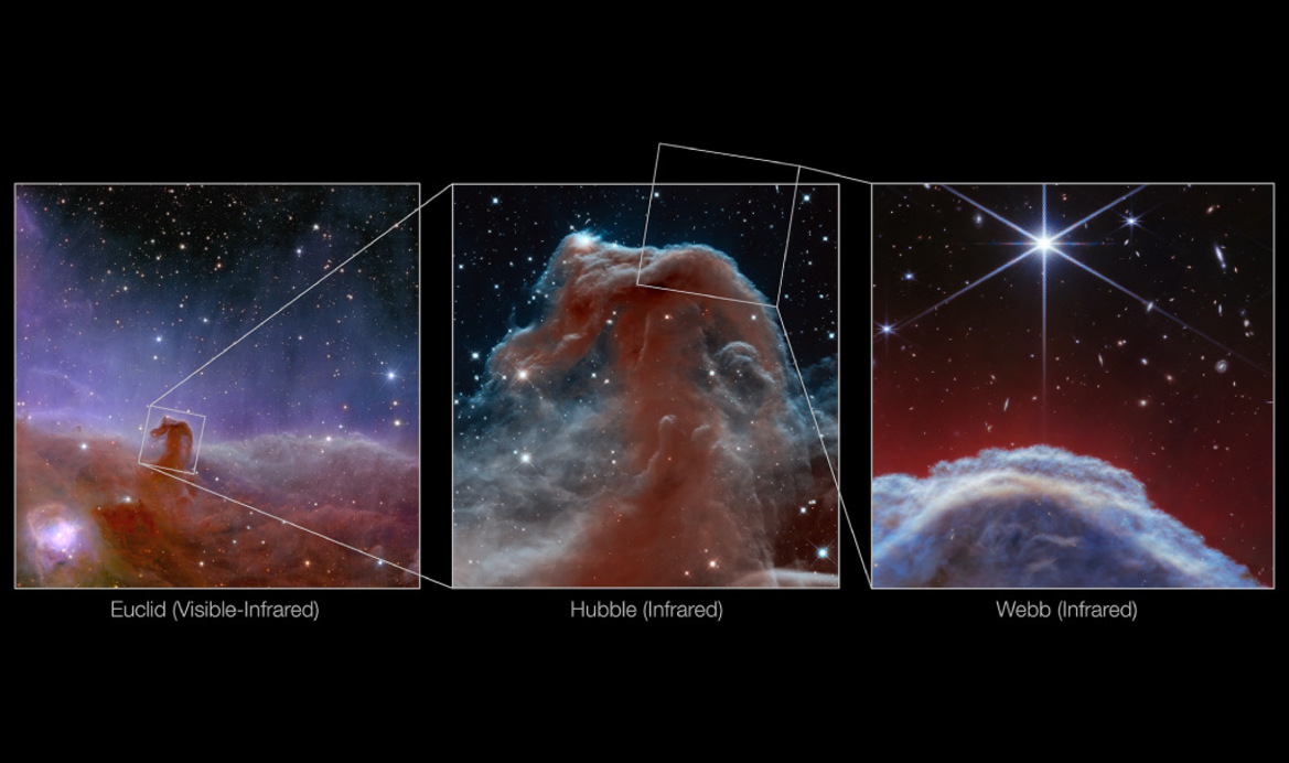 NASA’s Webb Space Telescope Captures Horsehead Nebula In Stunning Detail
