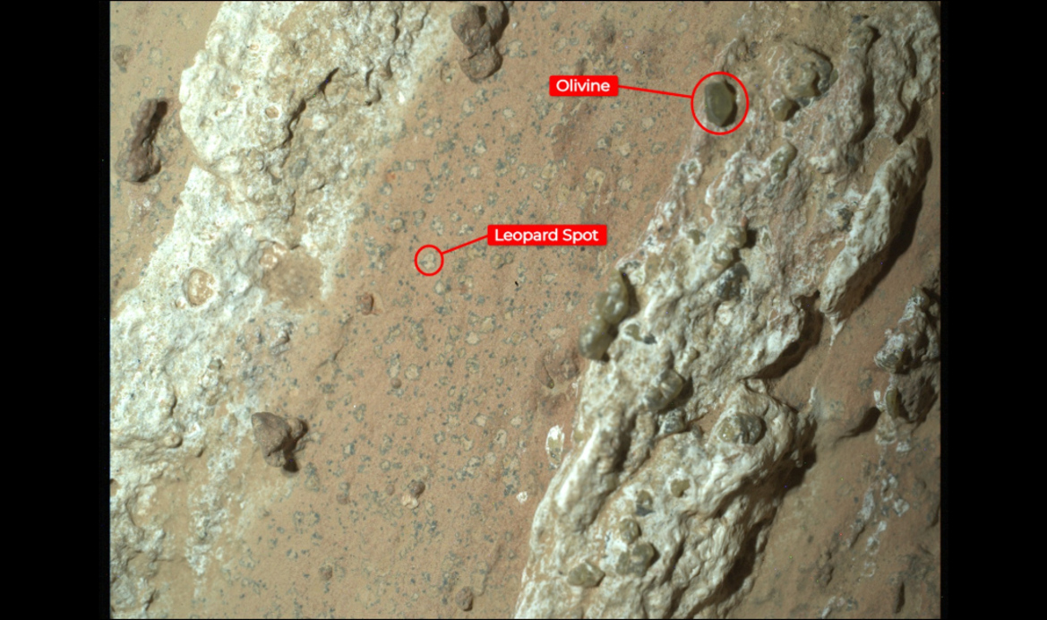 NASA's Mars Rover Makes Stunning Discovery Hinting At Ancient Martian Life