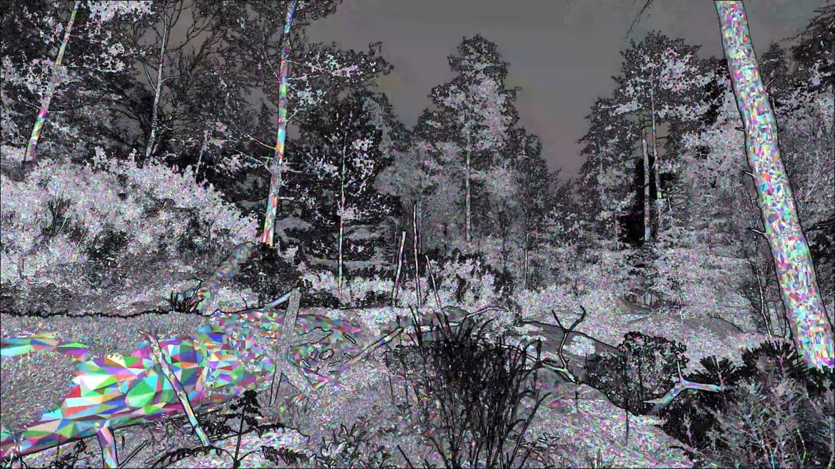 The Witcher 4 Unreal Engine 5.6 Tech Demo Is A Stunning Ray-Traced Showcase