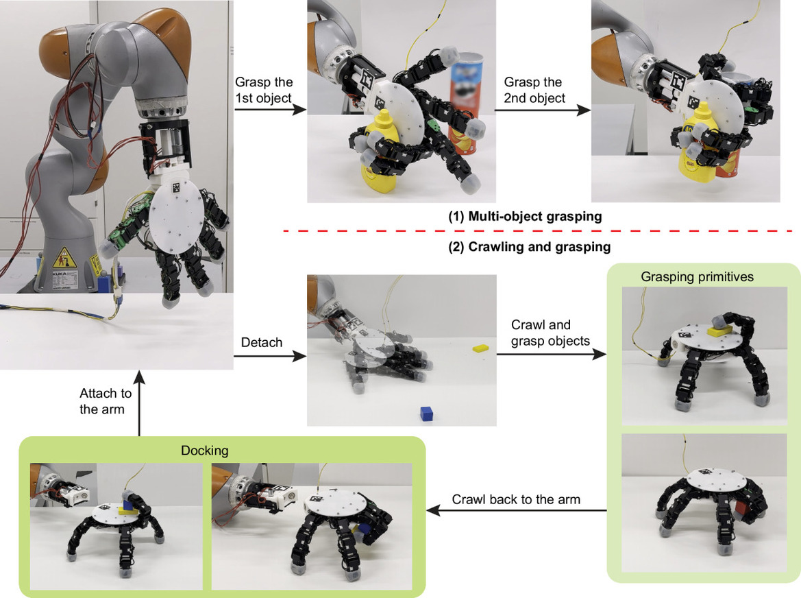 Detachable Robot Hand Crawls, Climbs And Grips Multiple Objects At Once