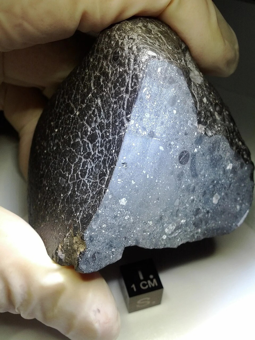 Scans Reveal An Ancient Surprise Hiding In Martian Meteorite That Fell To Earth