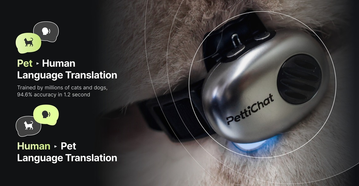 AI Pet Translator: How Machine Learning Can Decode Dog Barks & Cat Meows