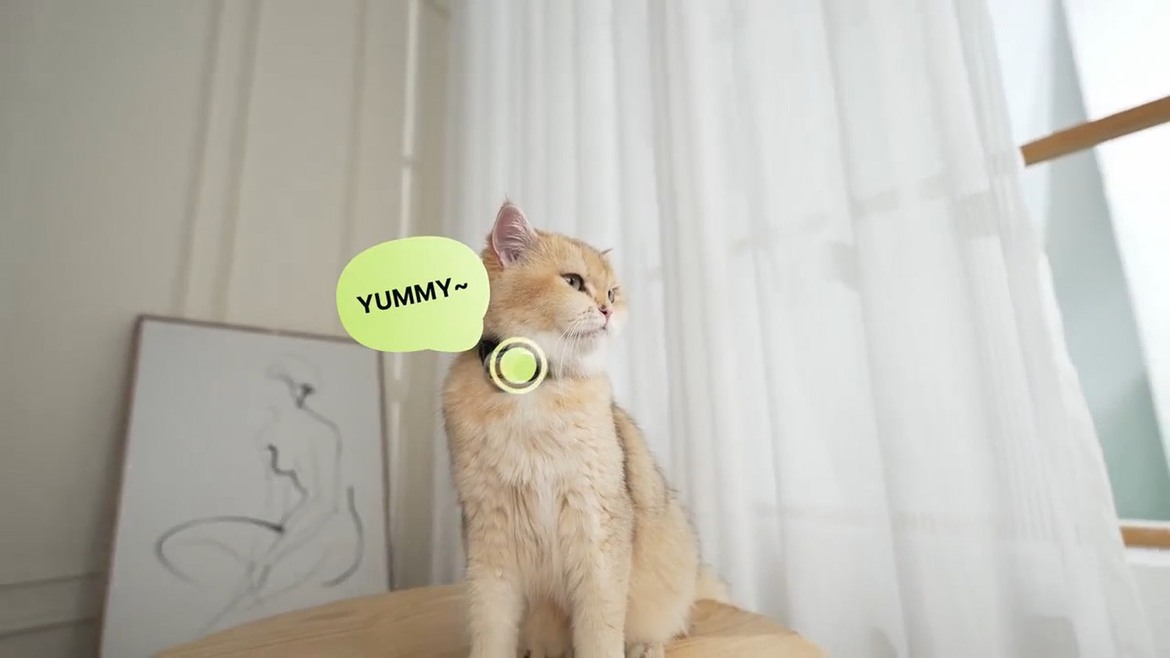 AI Pet Translator: How Machine Learning Can Decode Dog Barks & Cat Meows