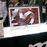 CES 2009 Highlights and Photo-Report