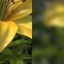 The State of DirectX 11 - Image Quality & Performance