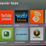 Boxee Box Review, Updated and Netflix Ready