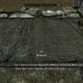 The Must-Have Mods of Skyrim 